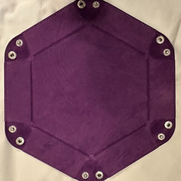 TTRPG Dice Bundle: Collapsible Tray, 2 Dice Bags, & Novelty D"2020" | Near New - Picture 3 of 9